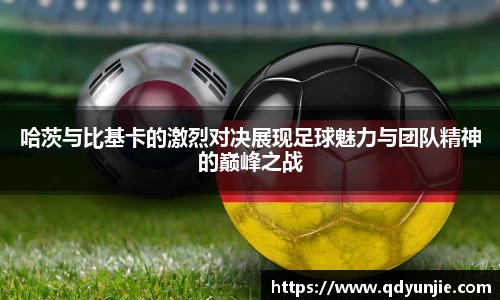 NG体育官网
