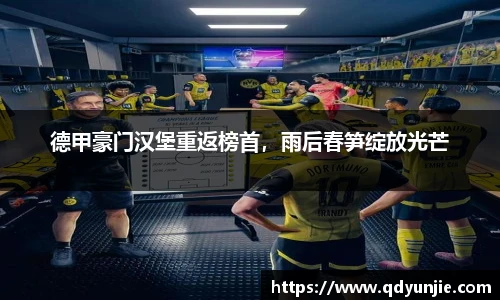 德甲豪门汉堡重返榜首，雨后春笋绽放光芒