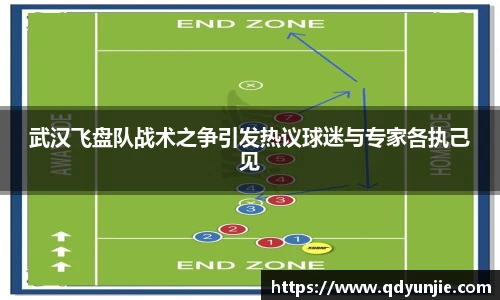 武汉飞盘队战术之争引发热议球迷与专家各执己见